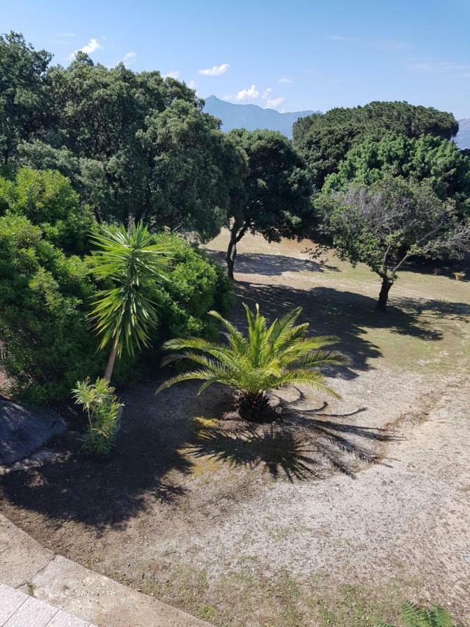 Casa Prescilia Lumio (Corsica) Exterior foto
